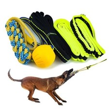 Bungee Tug Toy for Dogs - Outdoor Tree Rope Tether Tug 5 Pack - Spring Pole