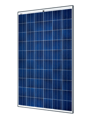 250W SolarWorld Sunmodule Pro-Series SW 250 poly Solar Modules