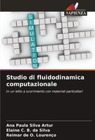 Ana Paula Silva Artur (U. A.) | Studio Di Fluidodinamica Computazionale | Buch