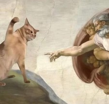 FUNNY CAT MEME MICHAELANGELO FRIDGE MAGNET 4....