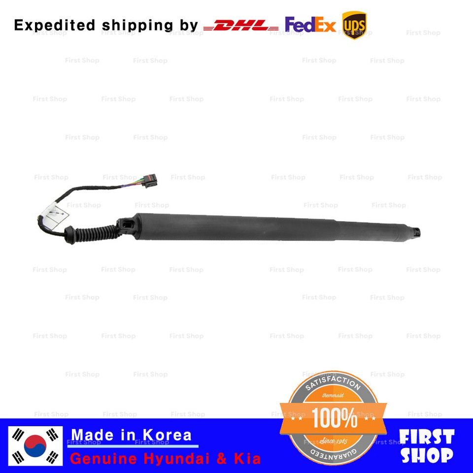 KIA (KS), MOHAVE (BORREGO) 07, LIFTER ASSY-TAIL GATE,LH (81770-2J000