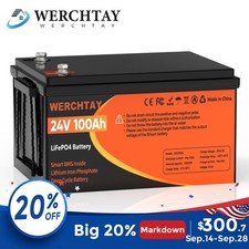 24V 100Ah LiFePO4 Lithium Battery 2560Wh Deep Cycles For RV Solar Boat Off-grid