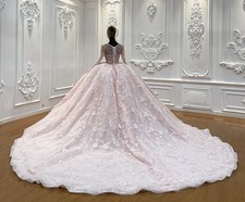 Luxury Pink Customized Lace Long Sleeves Princess Wedding Dress Bridal Gowns