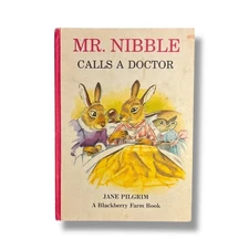 Mr. Nibble Calls a Doctor Children's Picture Storybook