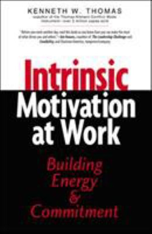 Intrinsic Motivation and Employee Engagement
