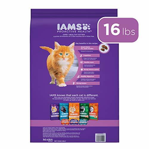 iams cat food 16 lbs