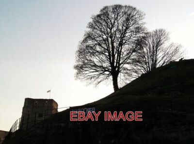 PHOTO  TREES ATOP OXFORD CASTLE MOUND NEW ROAD OXFORD  2012