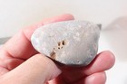Petoskey Stone Fossil Coral Lapidary 13 oz. windowed three pc rough lot P3 — photo 7