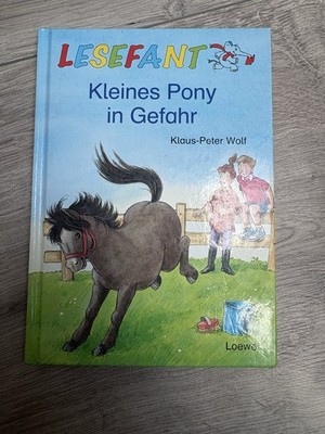Ein kleines Pony in Gefahr- Klaus Peter Wolf Kinderbuch