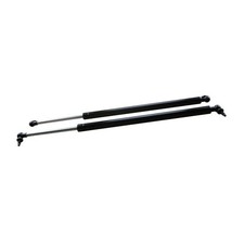 2pcs Tailgate Lift Support Center Right Passenger Side Struts Black for Chrysler