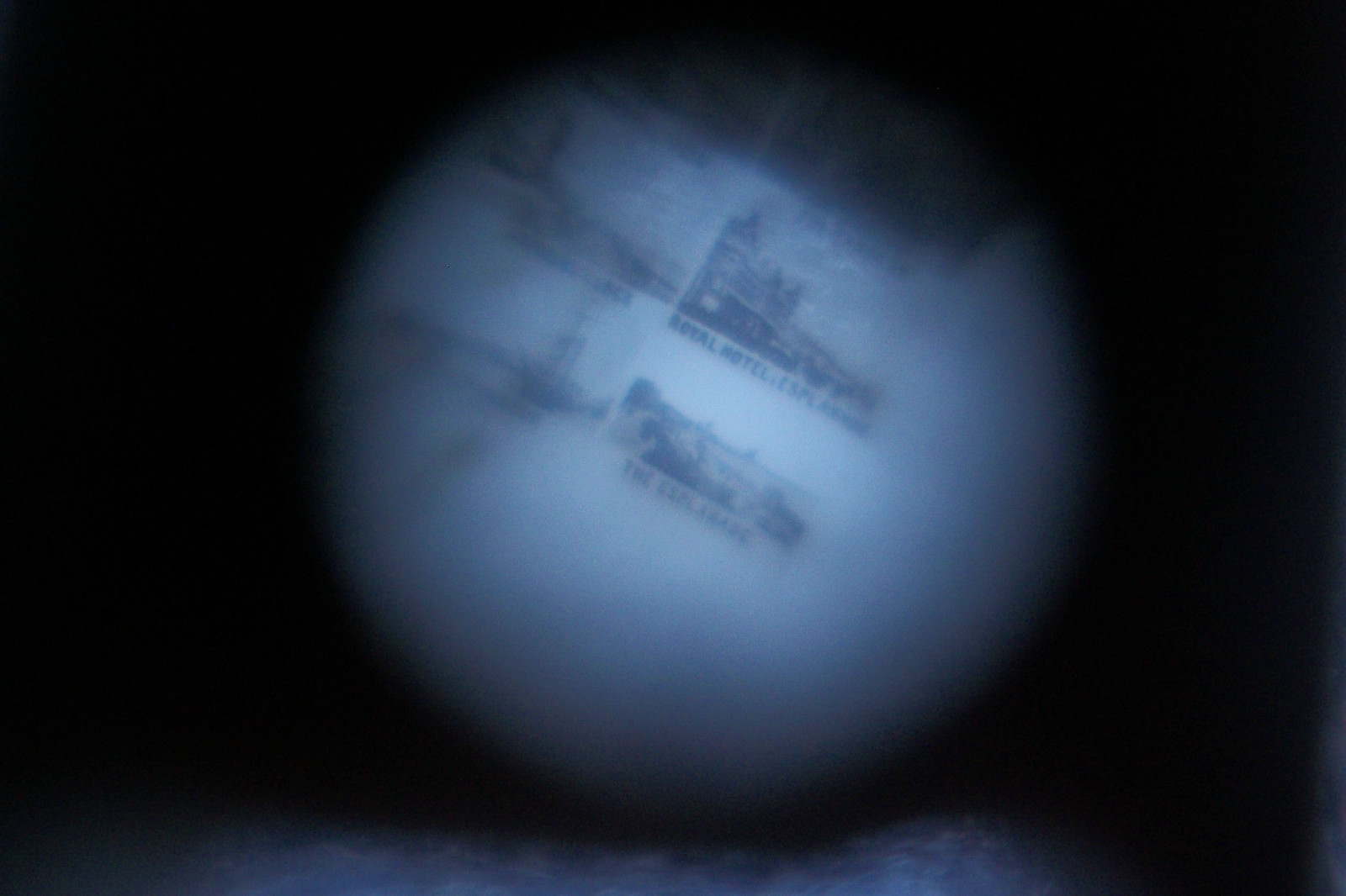 Antique Souvenir Stanhope Carved Bovine Bone Weymouth Drizzler sewing