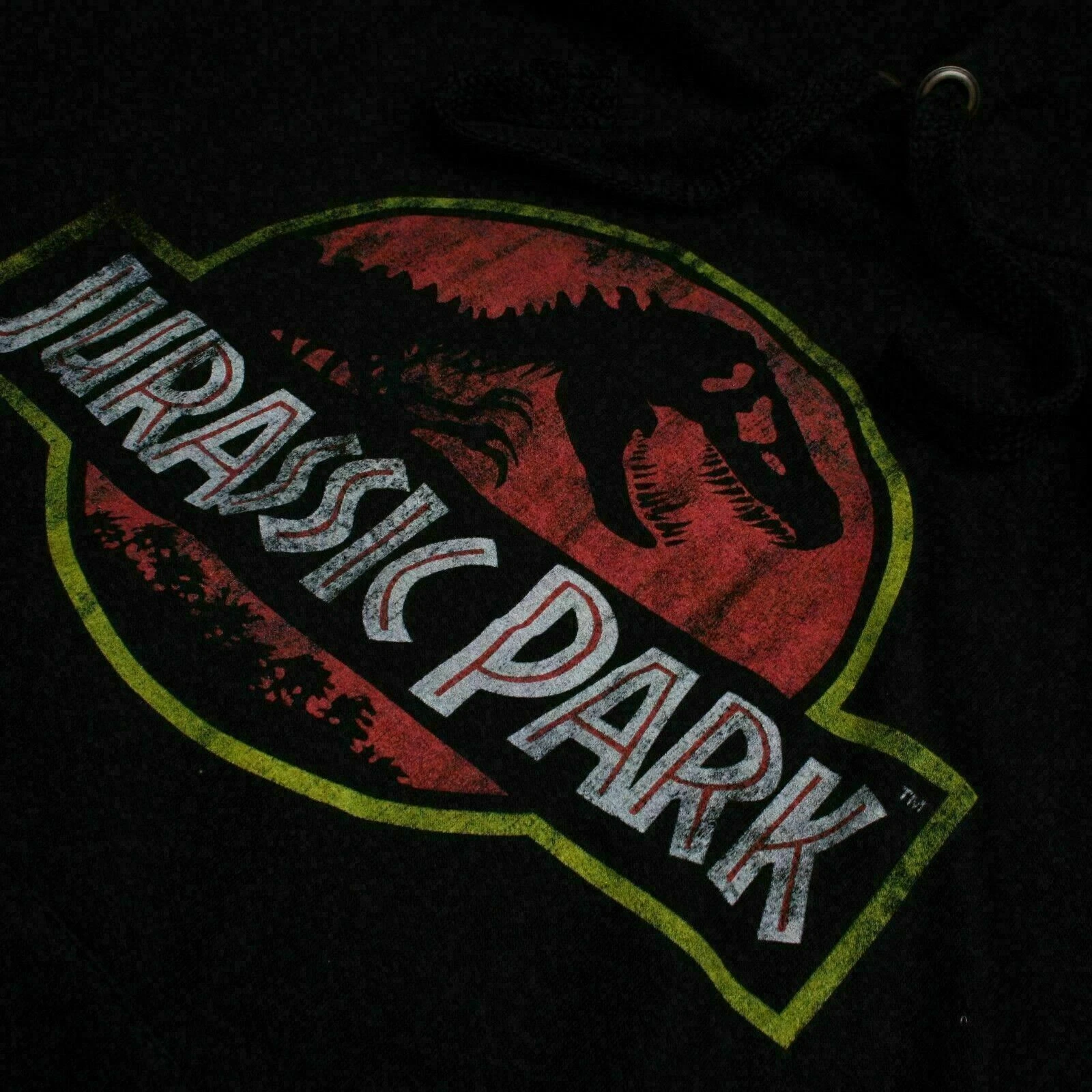 Jurassic Park Official Mens Distressed Logo Hoodie