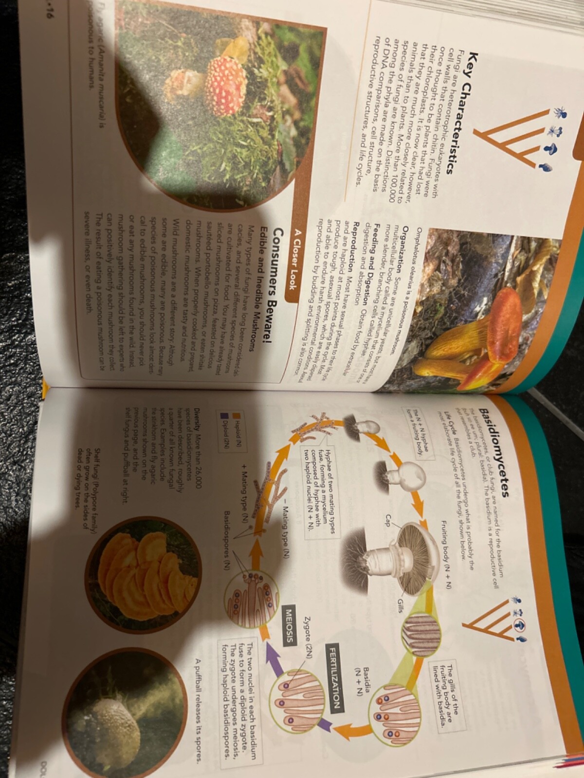 MILLER LEVINE BIOLOGY 2019 STUDENT EDITION Hardcover, Like New