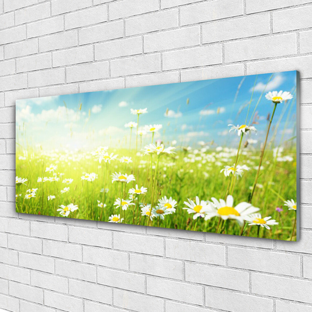 Impression sur verre prairie marguerite 125x50 cm pour salon