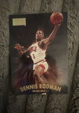 1997-98 Skybox Premium - Dennis Rodman #119