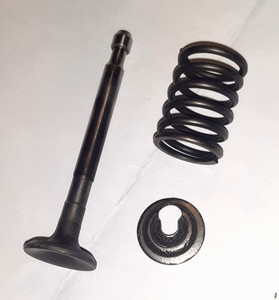 Orig. Auslassventil kpl. Tecumseh  Motor Rasenmäher