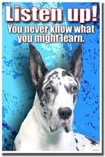 NEW SCHOOL MOTIVATIONAL POSTER - Listen Up You Never Know What You Might Learn