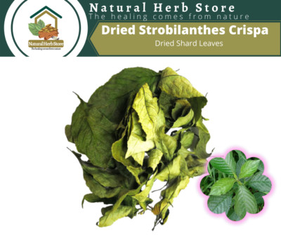 Dried Shard Leaves / Strobilanthes Crispa  Organic Herbs Spices 