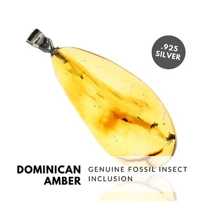 INSECTS - Natural Dominican Amber Pendant, Fossil Inclusion, Sterling Silver
