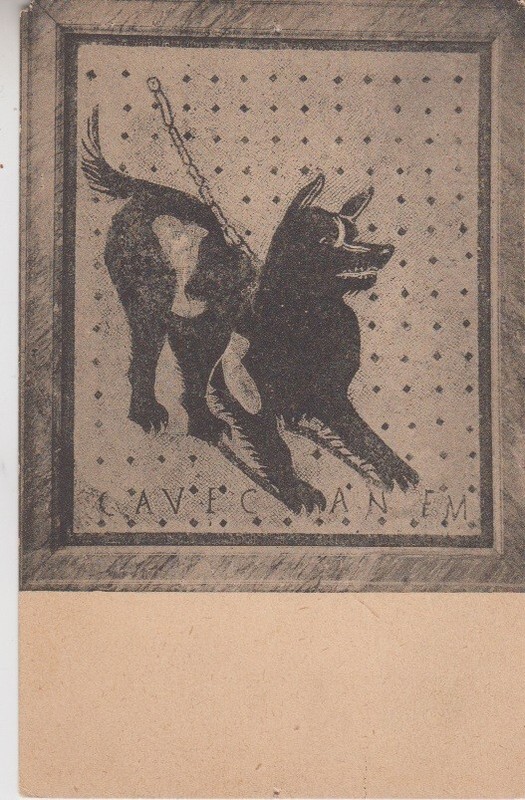 Naples ITALY. View of Dog Mosaic At Naples National Museum. Ed. Carlo Cotini