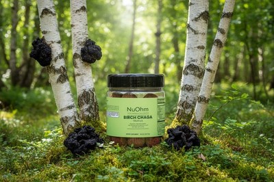 Nutrient-rich Birch Chaga Truffles - Antioxidant-packed, mineral-enriched superf