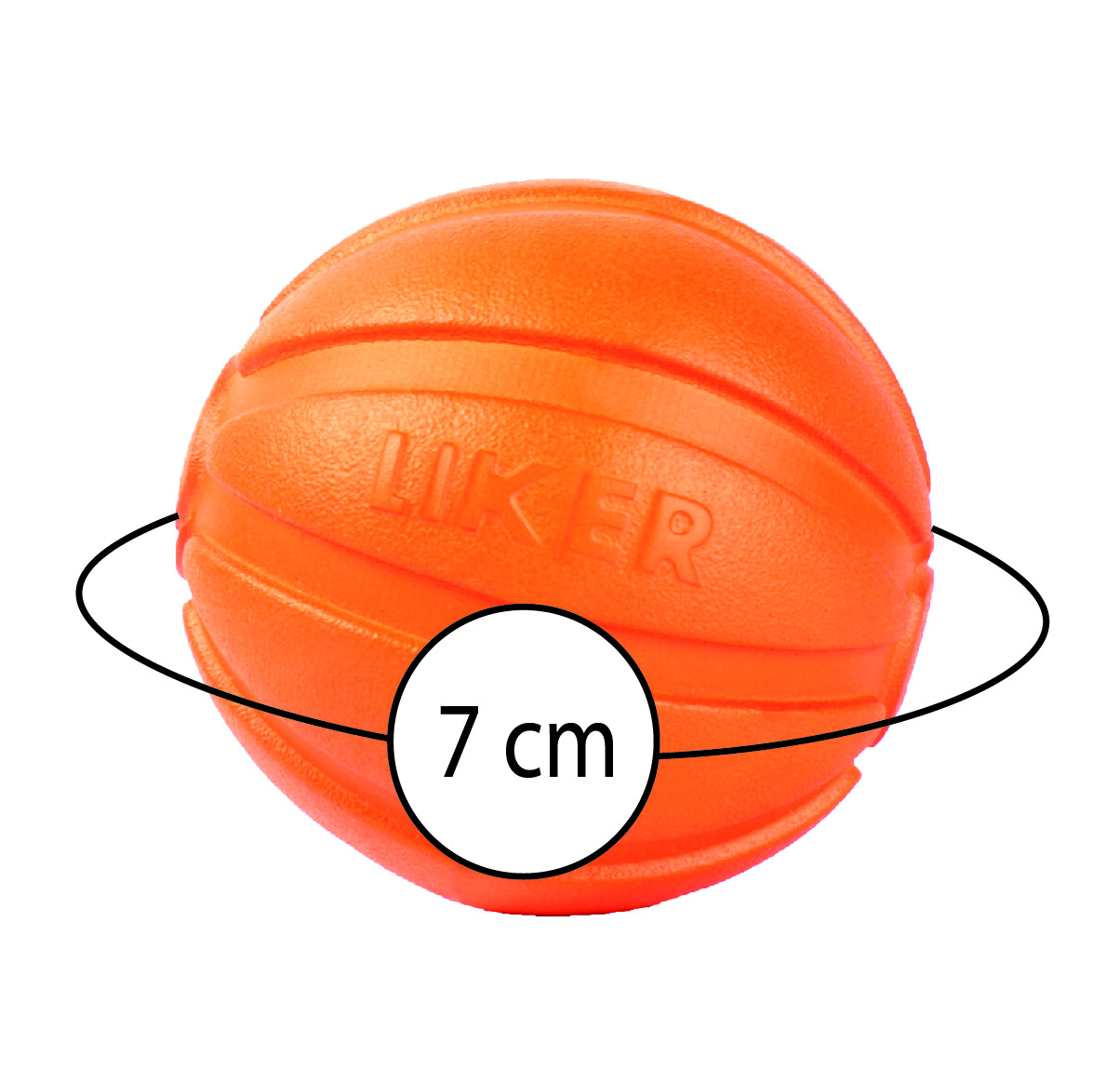 Bild 28 von 37