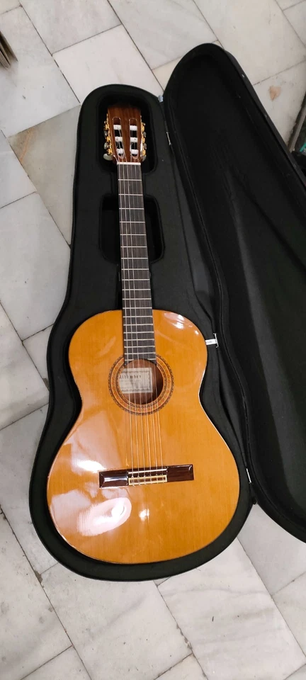 Guitarra Alhambra Muro de Alcoy Mod. B-Serie Oro con funda rigida - Imagen 1 de 2
