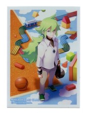 Pokemon Allenatore N's Playroom Manicotto Carte Singolo Pokemon Giappone Originale