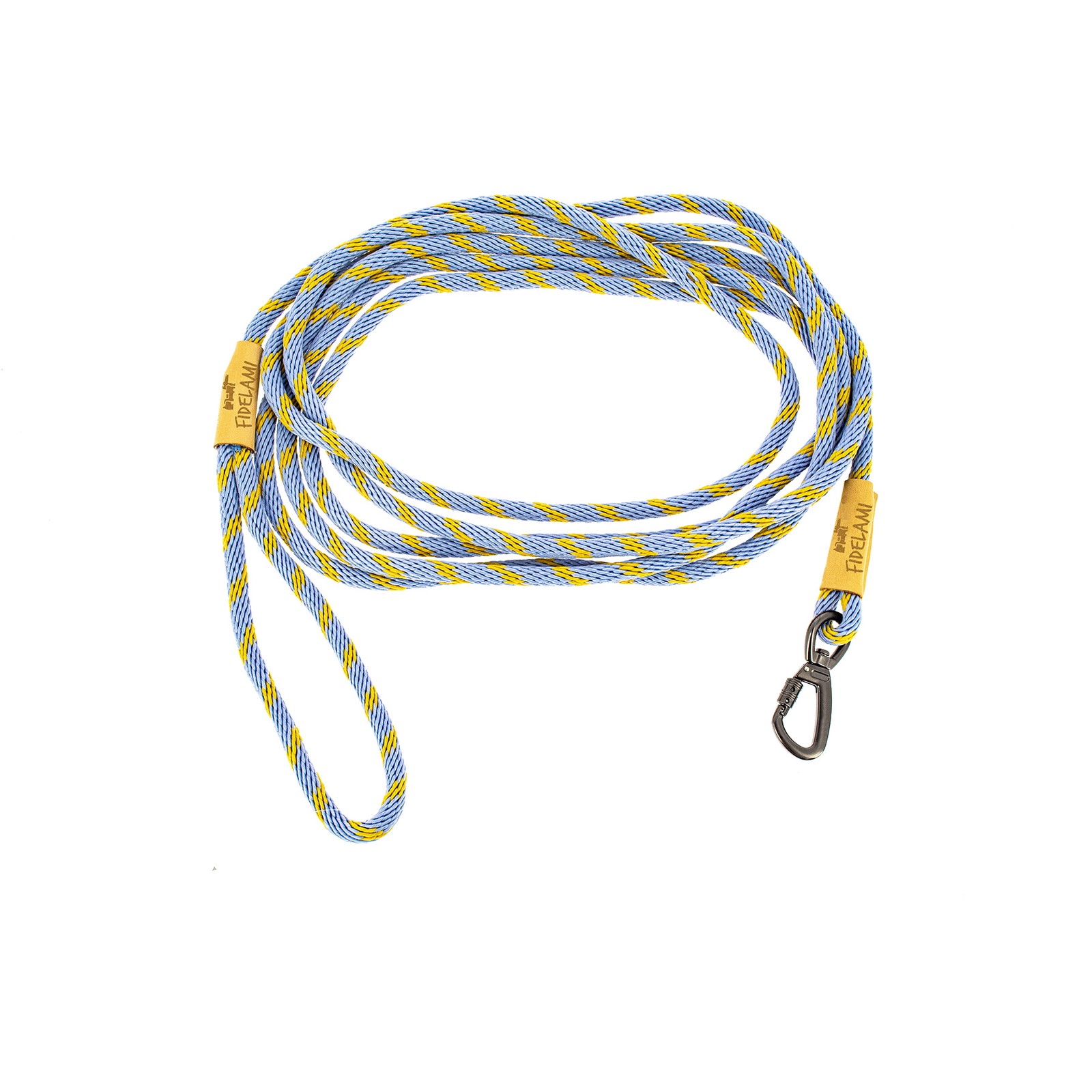 Longe corde éducation bleu pour apprendre le rappel à votre jeune chien
