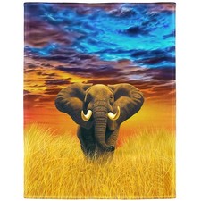 Elephant Blanket African Animal Fleece Blanket Soft Fuzzy Plush Throw Blanket...