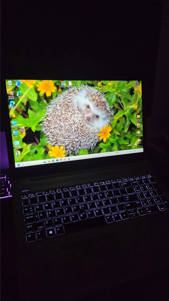 HP EliteBook 850 G6 · i7-8665U · 16GB · 256GB, foto 2 di 5