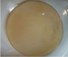 Live KOMBUCHA FRESH SCOBY STARTER TEA ORGANIC EVIAN WATER FREE SHIPPING