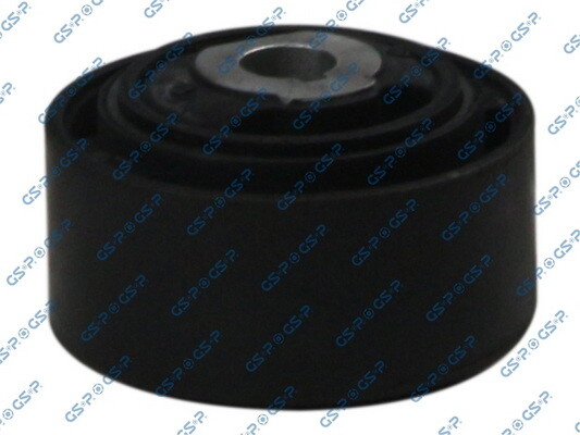 GSP 512441 MotoraufhäNgung FüR Renault-image