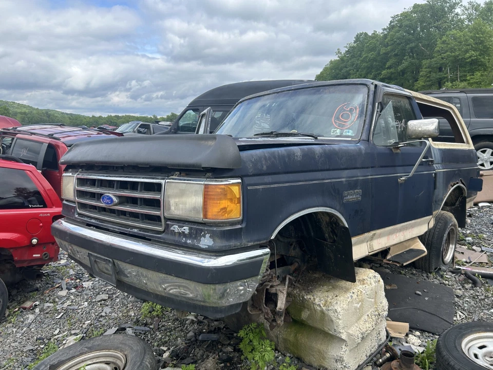 87-91 Ford F-150 BRONCO - DEFLECTA-SHIELD Bug Stone Protector de viento - 74,75" de largo Foto 3 de 4