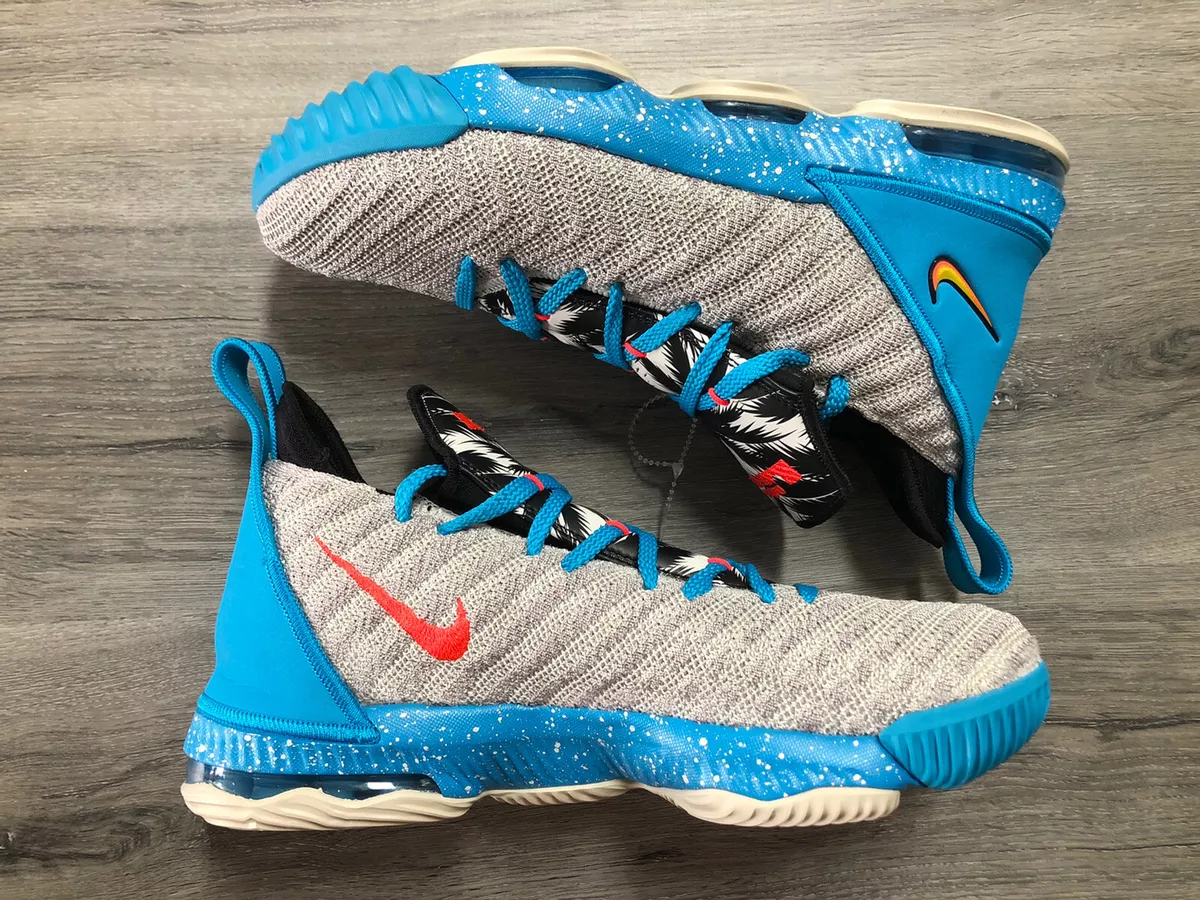 Lebron sb 16 clearance blue