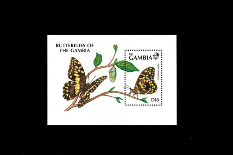 VINTAGE CLASSICS - Gambia 1992 - Butterfly - Souvenir Stamp sheet Scott 1078 MNH