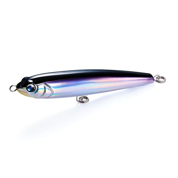 Jackson Prowler 190mm SNL Sanma Salt lure From Stylish anglers Japan FS