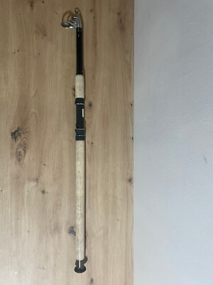 SPRO Selective Tele 100 Rute 300cm 50-100g