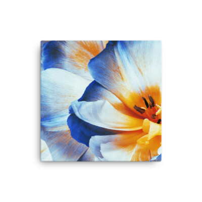 Beautiful Flower Fine Art Print Thin canvas