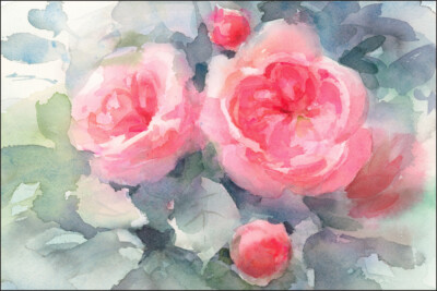 VLIES FOTOTAPETE Selbstklebend TAPETEN XXL mit Aquarell gemalte Rosen 958