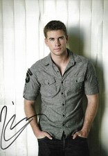 Liam Hemsworth Autogramm signed 20x30 cm Bild