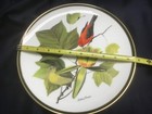 AUDUBON WORLD SONGBIRDS china dinner plate SCARLET TANAGER FRANKLIN by WEDGWOOD — photo 7