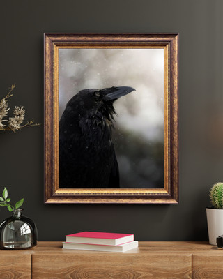 Wild Raven Fine Art Wildlife Photography Print (Unframed)