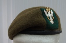 British Army Mercian Regiment Beret & Cap Badge