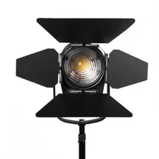 White Star 4″ Fresnel 100 Watt Light