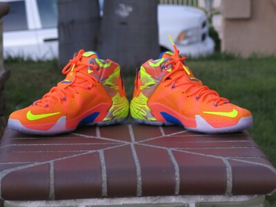 Size 13 - Nike LeBron 12 Six Meridians for sale online | eBay