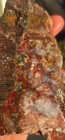 Christmas tree seam plume agate calico mountains Cabbing 1 lb 10 oz  — photo 8