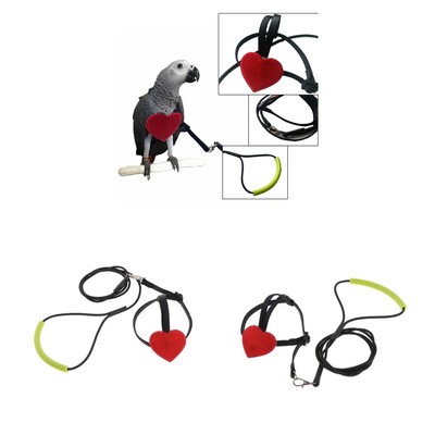 pigeon leash