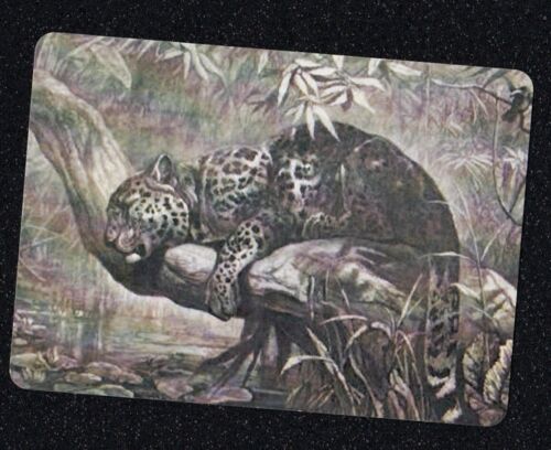 DIGITAL SWAP PLAYING CARDS ~ MONOTONE BIG CATS JAGUARS IN THE TREES ART CARD - Picture 1 of 1