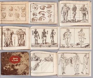 Antique 19thC Pen & Ink Drawings Art Figure Book 30 Human Anatomy Skeleton NR